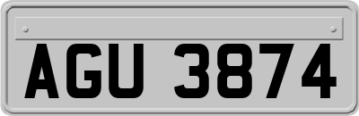 AGU3874