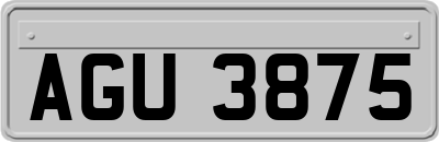 AGU3875