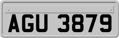 AGU3879