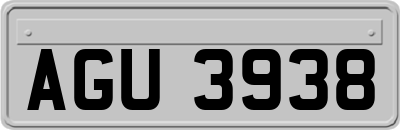 AGU3938