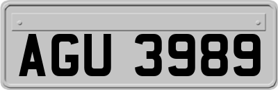 AGU3989