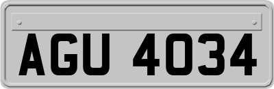 AGU4034