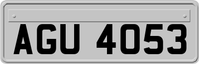 AGU4053