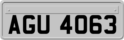 AGU4063