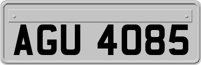 AGU4085