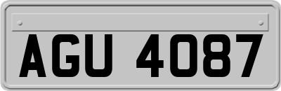 AGU4087