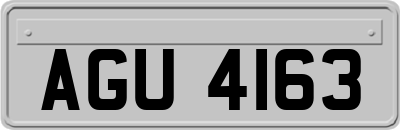 AGU4163