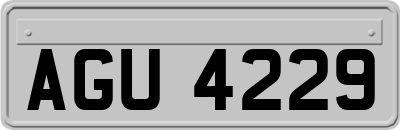 AGU4229