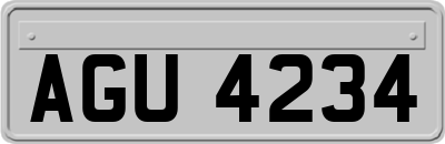 AGU4234