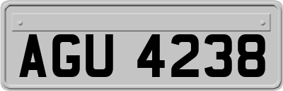 AGU4238