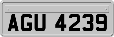 AGU4239