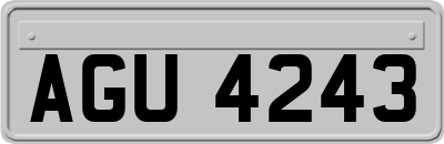 AGU4243