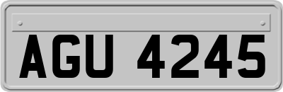 AGU4245