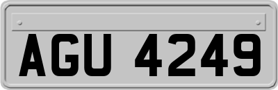 AGU4249