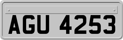 AGU4253