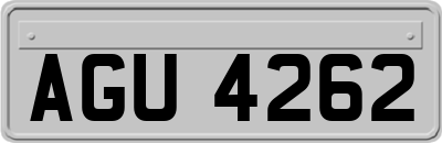 AGU4262