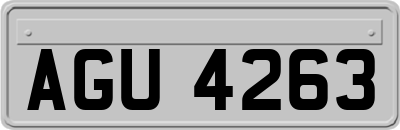 AGU4263
