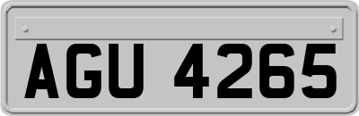 AGU4265