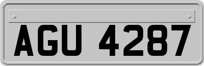 AGU4287