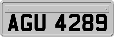 AGU4289