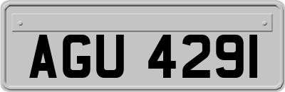 AGU4291