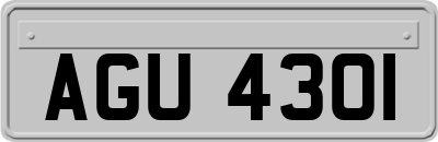 AGU4301