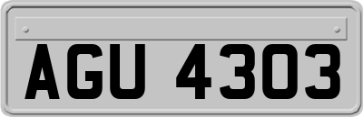 AGU4303