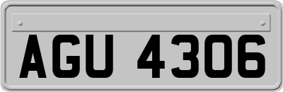 AGU4306