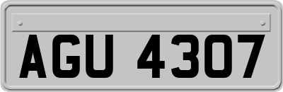 AGU4307