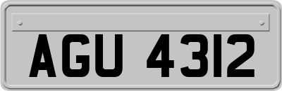 AGU4312