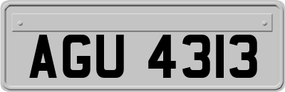 AGU4313