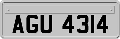 AGU4314