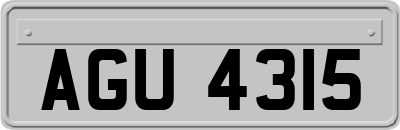 AGU4315
