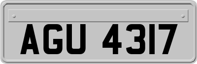 AGU4317