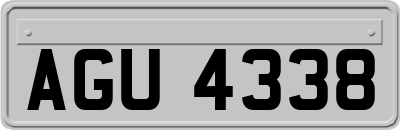 AGU4338