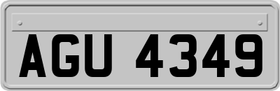 AGU4349