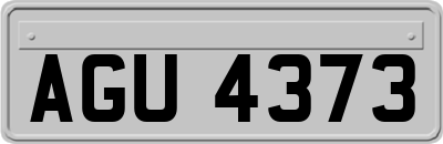 AGU4373