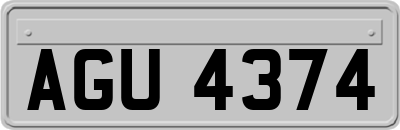 AGU4374