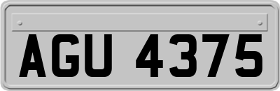 AGU4375
