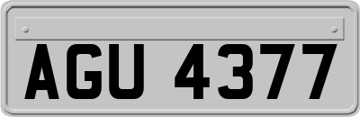 AGU4377