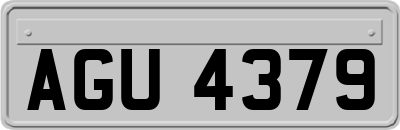 AGU4379