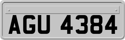 AGU4384