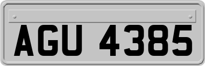 AGU4385