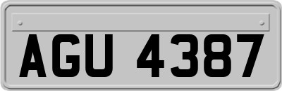 AGU4387
