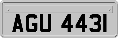 AGU4431