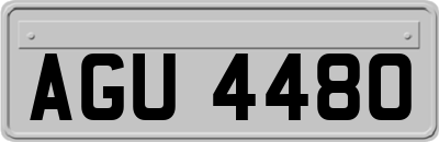 AGU4480
