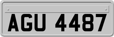 AGU4487