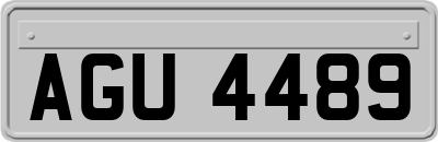 AGU4489