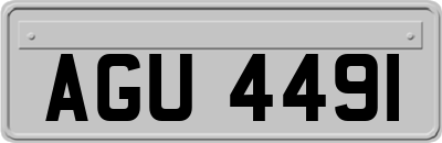 AGU4491