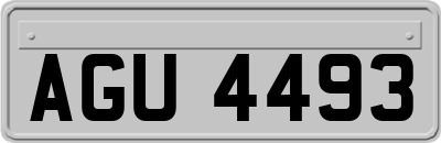 AGU4493